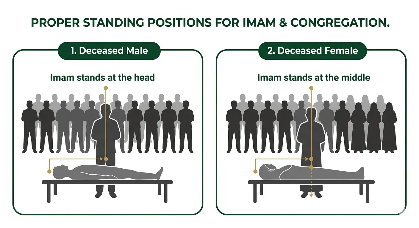 Correct standing position for the Imam over a male deceased (at the head) vs. a female deceased (at the waist)