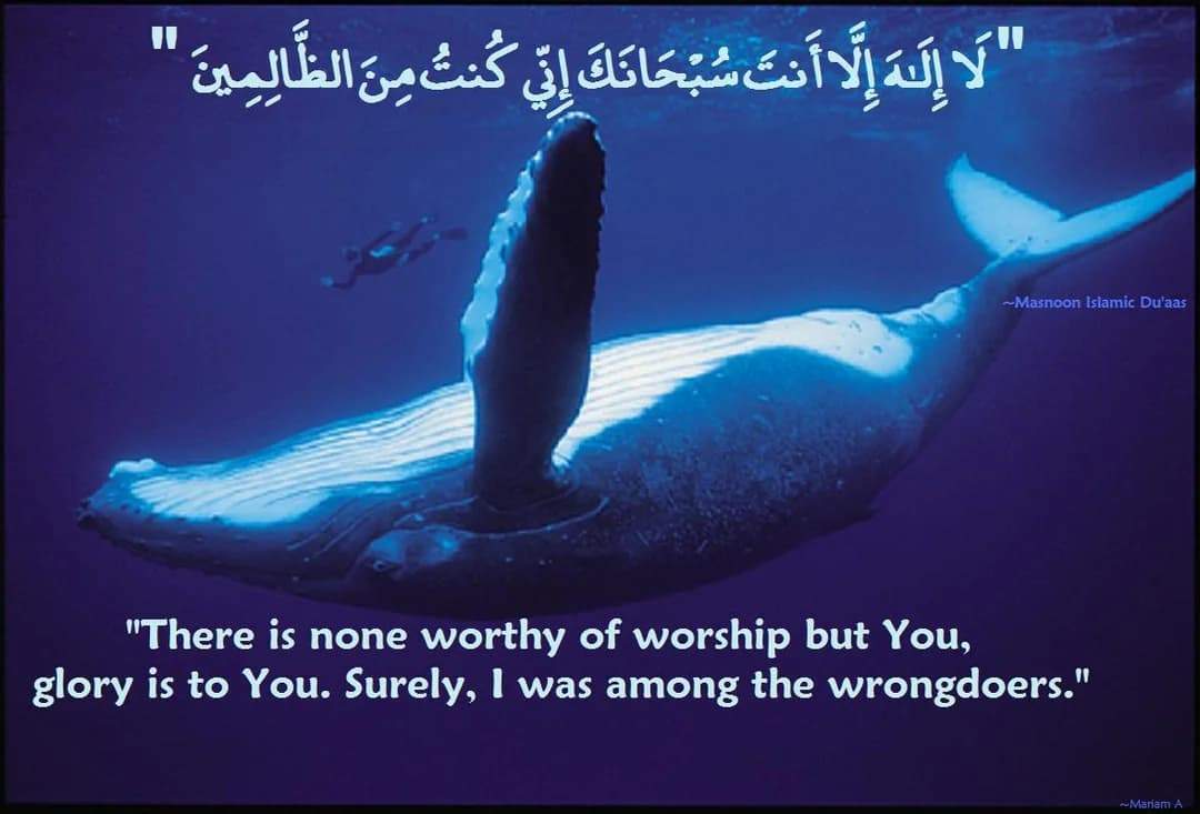 Prophet Yunus in the whale praying to Allah
